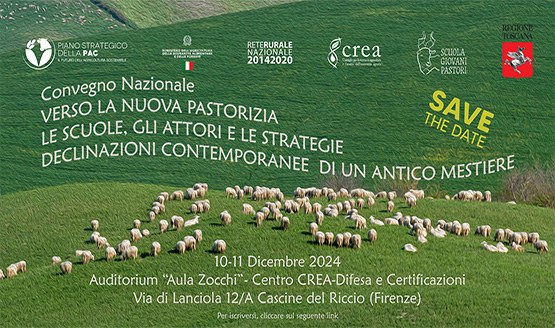 Verso la nuova pastorizia: le scuole, gli attori e le strategie. Declinazioni contemporanee di un antico mestiere